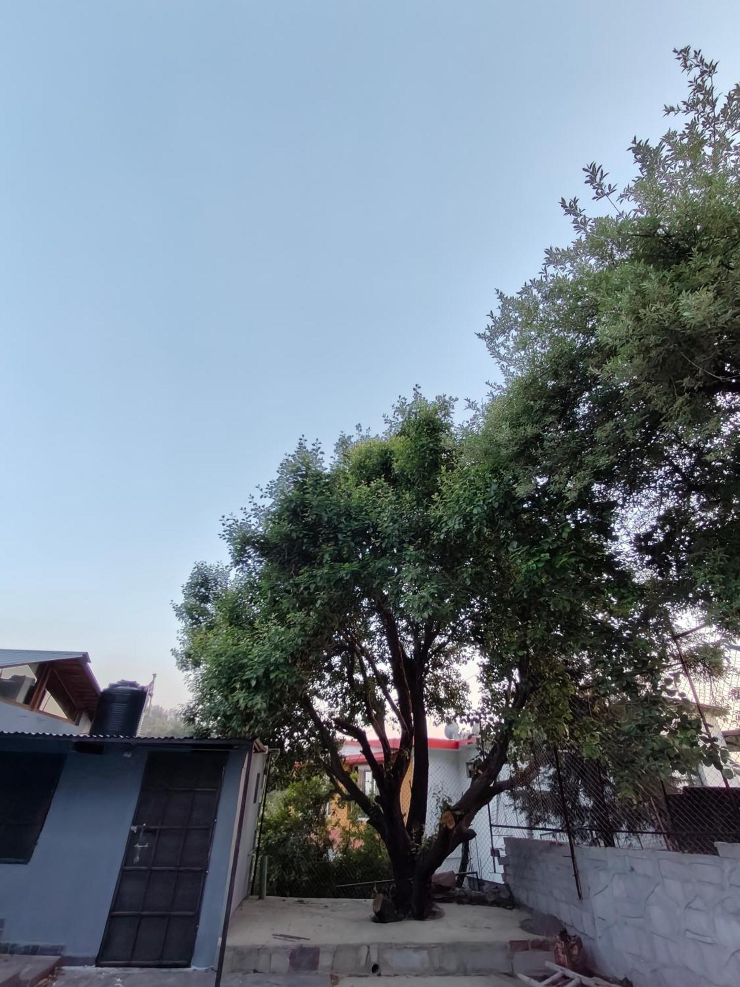 Woodpecker Nest By Lakes & Woods 穆克缇斯瓦 外观 照片